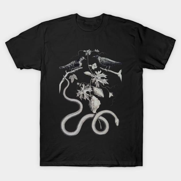 Snake, Bird, and Cucumis, Unknown T-Shirt by nickedenholm